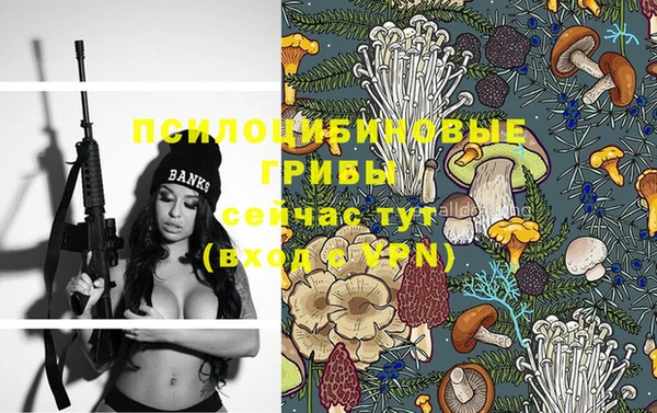 PSILOCYBIN Алзамай