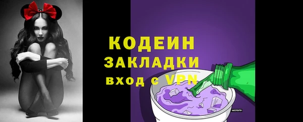 PSILOCYBIN Алзамай