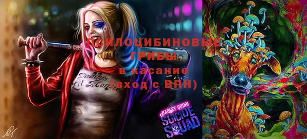 кристаллы Новокубанск