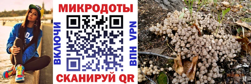 ОМГ ОМГ зеркало  Красково  Галлюциногенные грибы GOLDEN TEACHER 